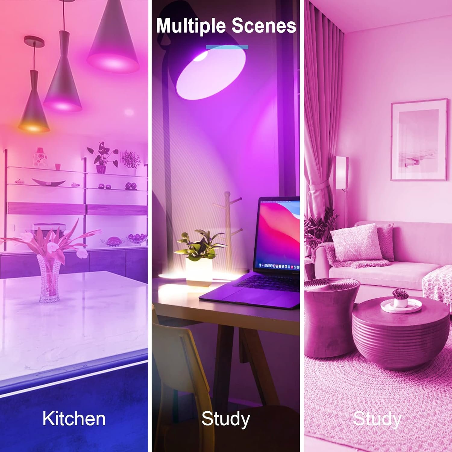 71E19r2mfVL._AC_SL1500_